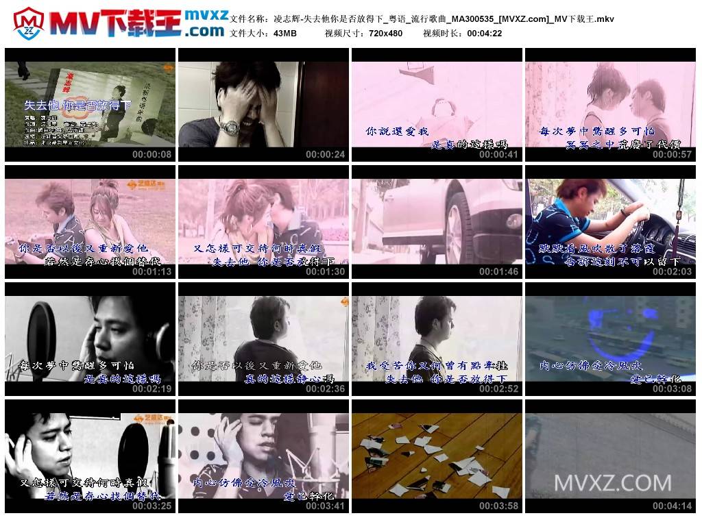 凌志辉-失去他你是否放得下_粤语_流行歌曲_MA300535